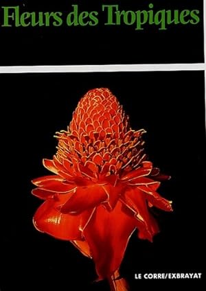 Fleurs des tropiques - Gildas Le Corre