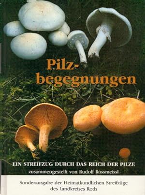 Pilzbegegnungen. Ein Streifzug durch das Reich der Pilze.