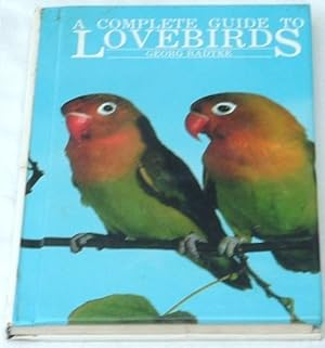 A Complete Guide to Lovebirds