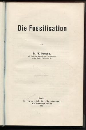 Die Fossilisation.