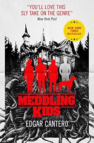 Imagen del vendedor de Meddling Kids a la venta por Eichhorn GmbH