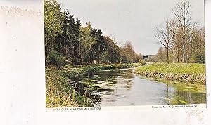 Neath Gnoll Pond Wales Postcard