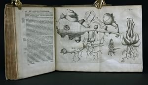 Opera Omnia seu thesaurus locupletissimus Botanico - Medico - Anatomicus, viginti quatuor tractat...