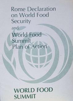 Rome Declaration on World Food Security and World Food Summit Plan of Action