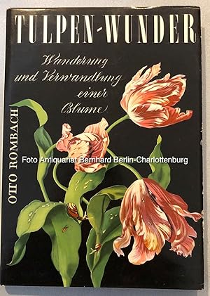 Image du vendeur pour Tulpen-Wunder. Wanderung und Verwandlung einer Blume. Mit zwlf farbigen Bildtafeln nach alten Darstellungen und Stichen und einer Plauderei ber die wundersame Geschichte der Tulpe (Souvenir; 3) mis en vente par Antiquariat Bernhard