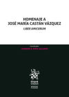 Image du vendeur pour Homenaje a Jos Mara Castn Vzquez. Liber Amicorum mis en vente par AG Library