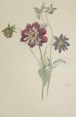 MÃ¼ller-Wolkenstein, Kurt attr. , MÃ¼ller-Wolkenstein, Kurt attr. - "Blumenstilleben".