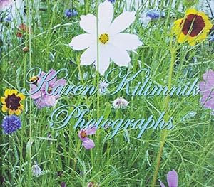 Image du vendeur pour Karen Kilimnik: Photographs [Hardcover ] mis en vente par booksXpress