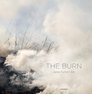 Bild des Verkufers fr The Burn by Michael Weinstein, Gary Gutting, Deborah Gribbon [Hardcover ] zum Verkauf von booksXpress