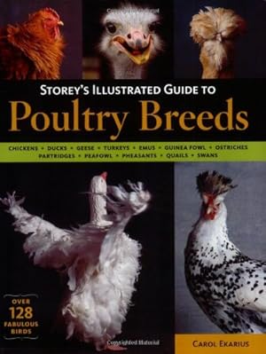 Seller image for Storey's Illustrated Guide to Poultry Breeds: Chickens, Ducks, Geese, Turkeys, Emus, Guinea Fowl, Ostriches, Partridges, Peafowl, Pheasants, Quails, Swans by Ekarius, Carol [Paperback ] for sale by booksXpress