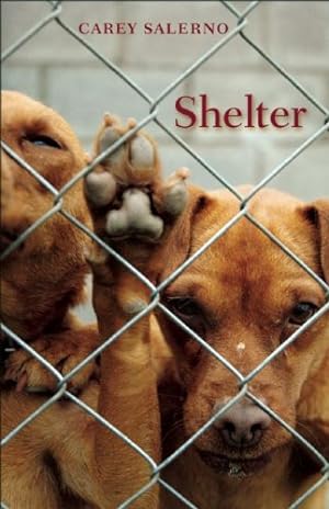 Image du vendeur pour Shelter by Salerno, Carey [Paperback ] mis en vente par booksXpress