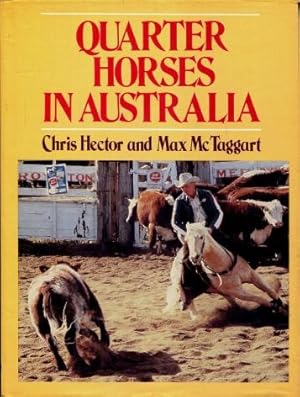 Quarter Horses in Australia