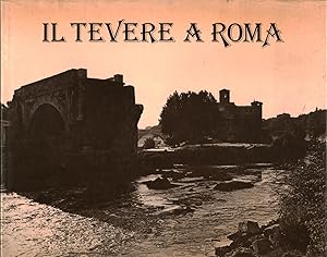 Imagen del vendedor de Il Tevere a Roma a la venta por Di Mano in Mano Soc. Coop