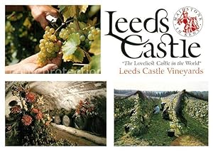 Bild des Verkufers fr Postkarte Carte Postale 73607485 Leeds Maidstone Castle Harvesting the Grapes Vines Wine Cellar zum Verkauf von Versandhandel Boeger
