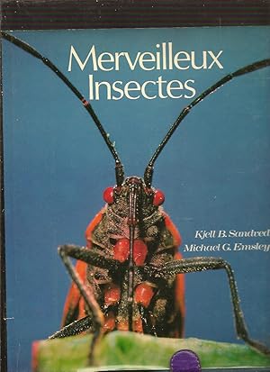 Image du vendeur pour Merveilleux insectes mis en vente par Librairie La cabane aux bouquins