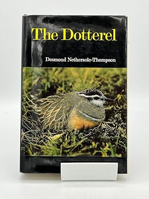 The Dotterel