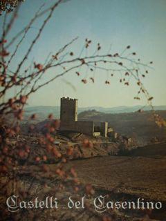 Immagine del venditore per Castelli del Casentino. venduto da EDITORIALE UMBRA SAS