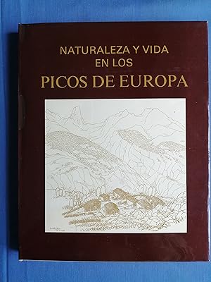 Naturaleza y vida en los Picos de Europa