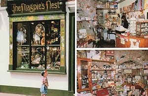 The Magpies Nest Canterbury Curiosity Antiques Novelty Shop Postcard