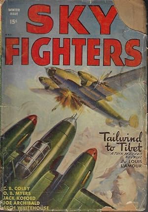 Image du vendeur pour SKY FIGHTERS: Winter 1948 mis en vente par Books from the Crypt