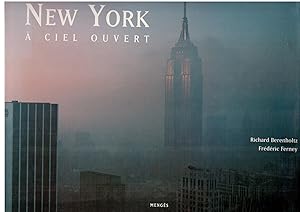 Image du vendeur pour New York  ciel ouvert mis en vente par LibrairieLaLettre2