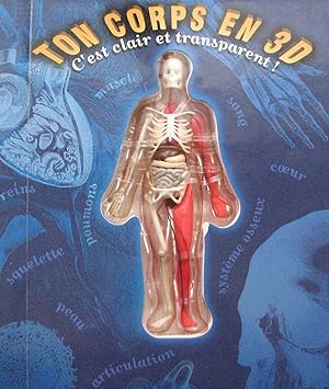 Ton corps en 3D. C'est clair et transparent !