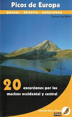 Seller image for Rutas y paseos por Picos de Europa. Mazizo Occidental y Central for sale by Librera Cajn Desastre
