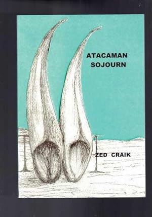 Atacaman Sojourn