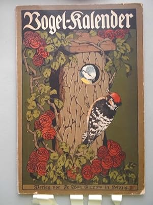 Vogel-Kalender Kinderbilderbuch (- Vogel Bilderbuch