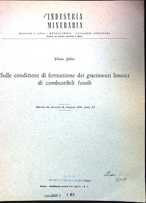 Bild des Verkufers fr Sulle condizioni di formazione dei giacimenti limnici di combustibili fossili. zum Verkauf von books4less (Versandantiquariat Petra Gros GmbH & Co. KG)