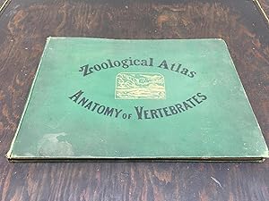 Bild des Verkufers fr Zoological Atlas (including Comparative anatomy) with Practical Directions and Explanatory Text for the Use of Students 231 Coloured Figures and Diagrams Vertebrata zum Verkauf von Hugh Hardinge Books