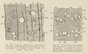 Seller image for Lehrbuch der technischen Mikroskopie. for sale by Antiq. F.-D. Shn - Medicusbooks.Com