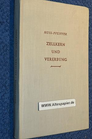 Seller image for Zellkern und Vererbung. for sale by Versandantiquariat Ingo Lutter