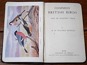 Imagen del vendedor de Common British Birds And How To Identify Them a la venta por Dodman Books