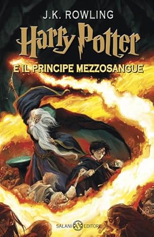 Immagine del venditore per Harry Potter 06 e il principe mezzosangue venduto da AHA-BUCH GmbH