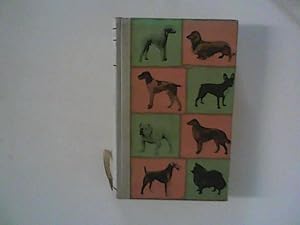 Das Hundebuch : Das Hausbuch für den Hundefreund.