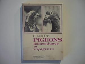 Pigeons domestiques et voyageurs