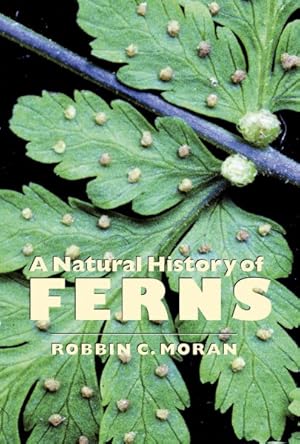 Seller image for Natural History of Ferns for sale by GreatBookPricesUK