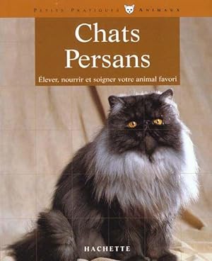 Chats persans