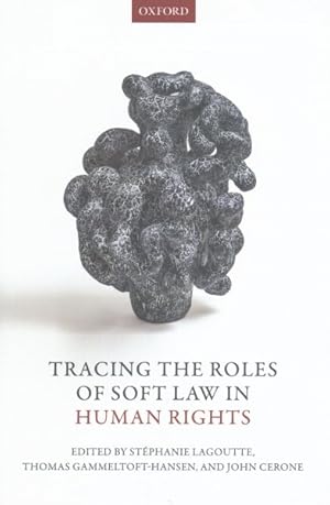 Bild des Verkufers fr Tracing the Roles of Soft Law in Human Rights zum Verkauf von GreatBookPricesUK