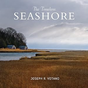 Seller image for Timeless Seashore for sale by GreatBookPricesUK