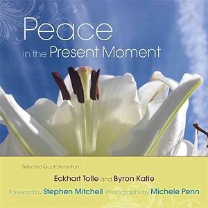 Imagen del vendedor de Peace in the Present Moment a la venta por GreatBookPricesUK