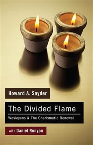 Bild des Verkufers fr Divided Flame : Wesleyans & the Charismatic Renewal zum Verkauf von GreatBookPricesUK
