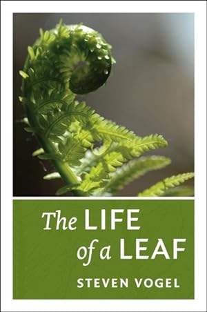 Seller image for Life of a Leaf for sale by GreatBookPricesUK