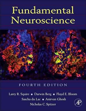 Image du vendeur pour Fundamental Neuroscience mis en vente par GreatBookPricesUK