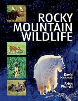 Seller image for Rocky Mountain Wildlife for sale by GreatBookPricesUK