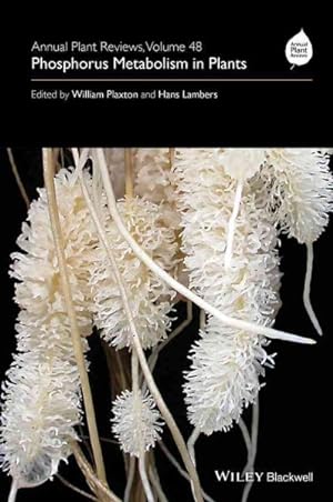Seller image for Phosphorus Metabolism in Plants for sale by GreatBookPricesUK