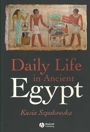 Seller image for Daily Life in Ancient Egypt : Recreating Lahun for sale by GreatBookPricesUK