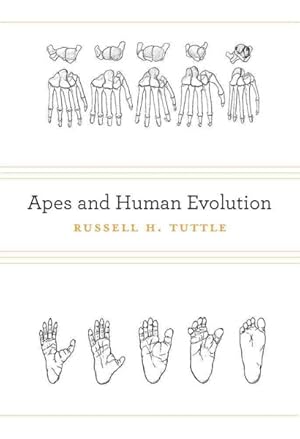 Seller image for Apes and Human Evolution for sale by GreatBookPricesUK