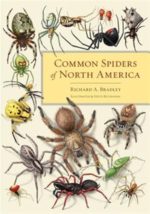 Seller image for Common Spiders of North America for sale by GreatBookPricesUK